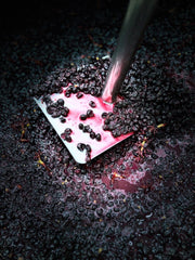 2023 PINOT NOIR BLEND No. 11 RESERVE